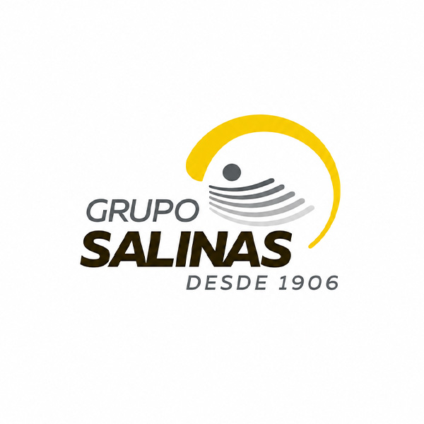 grupo salinas